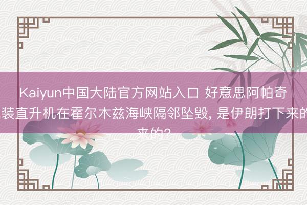 Kaiyun中国大陆官方网站入口 好意思阿帕奇武装直升机在霍尔木兹海峡隔邻坠毁, 是伊朗打下来的?
